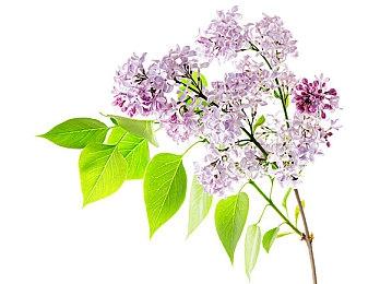 《赛博朋克2077：往日之影》新概念图 穿越时空之旅